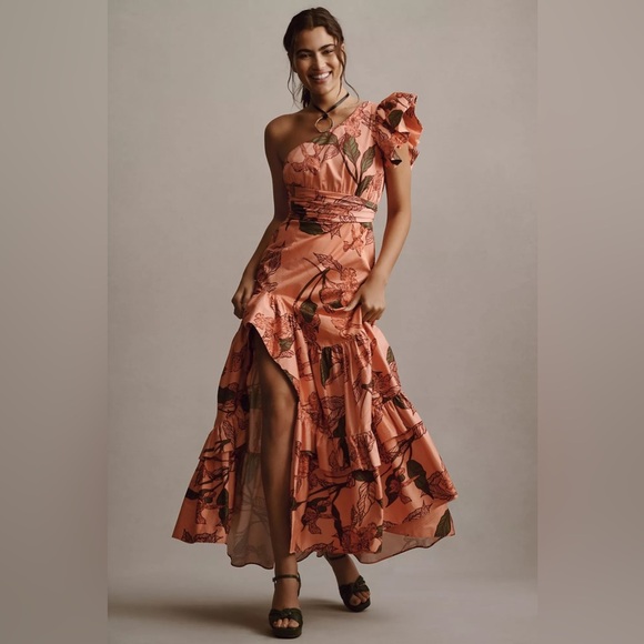 NWT! Hutch One Shoulder Ruffle Floral Maxi Dress - Size 12 PETITE 🪞 - Picture 7 of 8